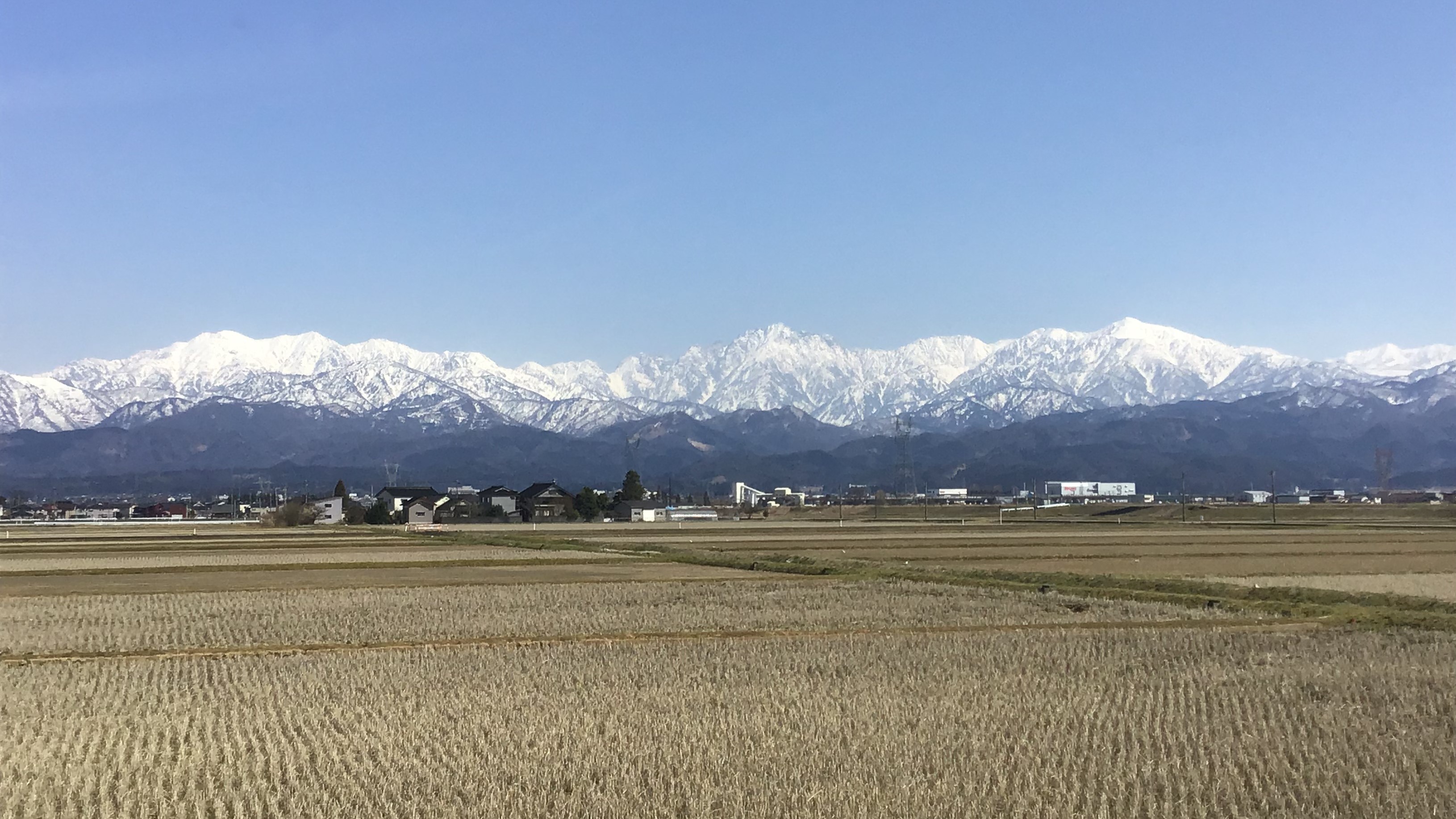 施設の特徴